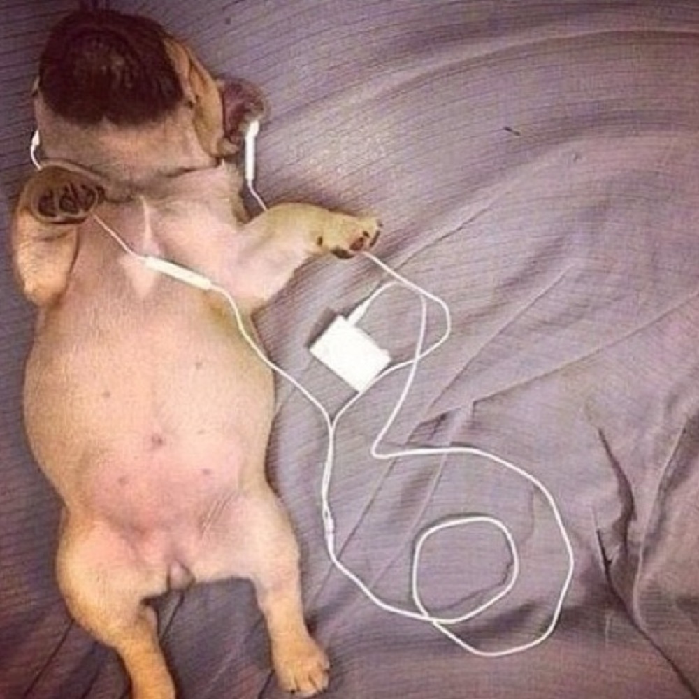 Meet your Posher, Gia